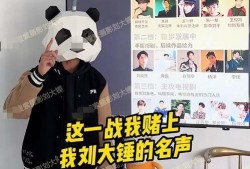 刘大锤四次爆料视频,事件背后真相全解析