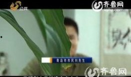 影视爆料图片大全集最新,揭秘最新图片大全集精彩瞬间