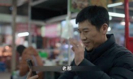 农夫老岳爆料视频大全集,揭秘农村生活百态