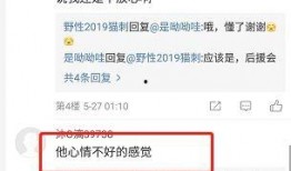 王晨艺爆料视频,娱乐圈背后的惊人真相