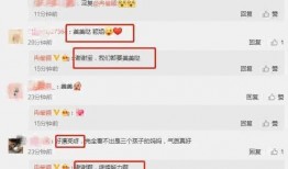 小瓜最新爆料视频大全,揭秘娱乐圈幕后真相