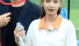 助理爆料杨颖视频,助理爆料背后的惊人真相