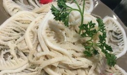 网友爆料鸭肠视频大全,鸭肠视频大全，揭秘美食背后的秘密