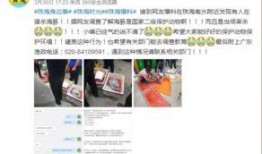 突崽视频爆料,娱乐圈幕后真相大曝光