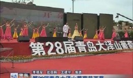 青岛民间爆料新闻,揭秘城市生活背后的故事