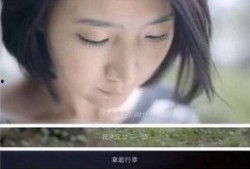 黑总前妻最新爆料视频,视频爆料震惊娱乐圈