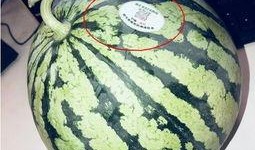 韩城吃瓜网红,揭秘网红背后的故事