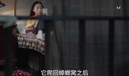 男生爆料小秘密视频大全