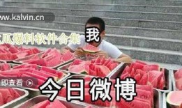 小瓜最新爆料视频大全,揭秘娱乐圈幕后真相