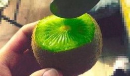 抖音网红吃瓜基地,幕后故事大曝光