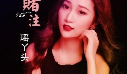 赌注在线观看,揭秘网络赌场背后的惊心动魄