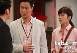 迷tvb国语版在线观看,沉浸式追剧体验，尽享经典港剧魅力