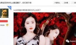 圈内知情人爆料刘诗诗视频,圈内知情人士揭秘幕后真相