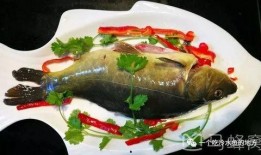 冷水鱼爆料美食视频下载