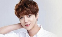 鹿晗爆料韩国女星视频大全,韩国女星私密视频事件全解析